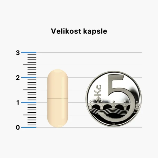 BrainMax Energy Magnesium, Hořčík Malát 1000 mg, 200 rostlinných kapslí - Obrázek 3