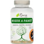 Mozek a paměť (bakopa, šalvěj, ženšen)