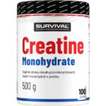 Creatine Monohydrate – 500 g
