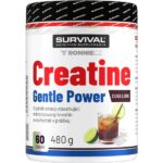 Creatine Monohydrate Gentle Power – 480 g, limeta-jahoda