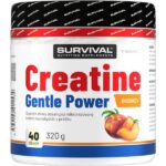 Creatine Monohydrate Gentle Power – 320 g, broskev